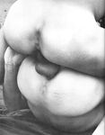 CALIFORNIA COCK Photos