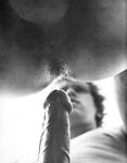 CALIFORNIA COCK Photos