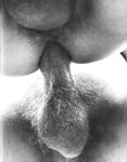 CALIFORNIA COCK Photos