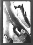 CALIFORNIA LINEMAN 1978 Photos