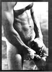 CALIFORNIA LINEMAN 1978 Photos