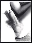 CALL BOY  Vol 2 Nr 2 1979 Photos