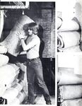 CARPET LAYER, THE Photos