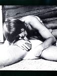 CARPET LAYER, THE Photos