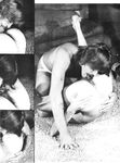 CARPET LAYER, THE Photos