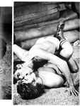 CARPET LAYER, THE Photos