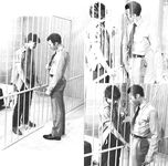 CELLBLOCK 1979 Photos