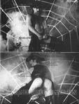 CHAIN REACTIONS, DRUMMER VIDEO COLLECTION Photos