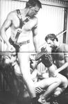 CHAIN REACTIONS, DRUMMER VIDEO COLLECTION Photos