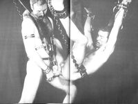CHAIN REACTIONS, DRUMMER VIDEO COLLECTION Photos