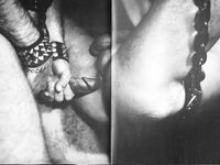 CHAIN REACTIONS, DRUMMER VIDEO COLLECTION Photos