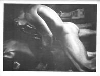 CHAIN REACTIONS, DRUMMER VIDEO COLLECTION Photos