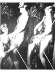 CHAIN REACTIONS, DRUMMER VIDEO COLLECTION Photos