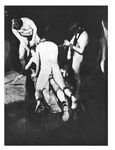 CHAINED MALES, A NIGHT OF SUBMISSION Photos