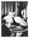 CHAINED MALES, A NIGHT OF SUBMISSION Photos