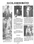 CLUB GOLDENROD Nr 15 Photos