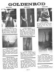 CLUB GOLDENROD Nr 15 Photos