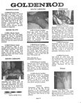 CLUB GOLDENROD Nr 15 Photos