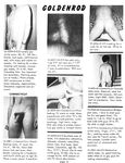 CLUB GOLDENROD Vol 3 Nr 11 1979 Photos
