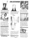 CLUB GOLDENROD Vol 3 Nr 11 1979 Photos