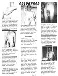 CLUB GOLDENROD Vol 3 Nr 11 1979 Photos
