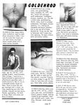 CLUB GOLDENROD Vol 3 Nr 11 1979 Photos