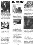 CLUB GOLDENROD Vol 3 Nr 11 1979 Photos