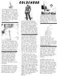 CLUB GOLDENROD Vol 3 Nr 11 1979 Photos