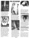 CLUB GOLDENROD Vol 3 Nr 11 1979 Photos