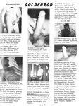 CLUB GOLDENROD Vol 3 Nr 11 1979 Photos