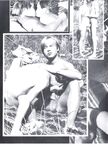 COCK 1984 Photos