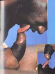 COCK CRAZY Photos