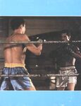 COCK FIGHTS ROUND 2 Photos
