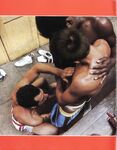 COCK FIGHTS ROUND 2 Photos