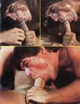COCK FIGHTS ROUND 2 Photos