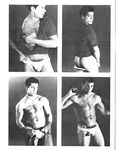 COCK FIGHTS Photos