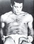 COCK FIGHTS Photos