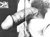 COCK FIGHTS Photos