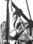 COCK FIGHTS Photos