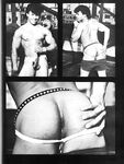 COCK FIGHTS Photos