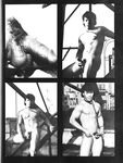 COCK FIGHTS Photos
