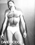 COCK FIGHTS Photos