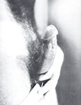 COCK FIGHTS Photos