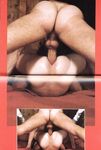 COCK ONLY Nr 1 Photos