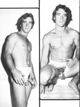 COCK SHOTS ANNUAL Nr 1 1981 Photos