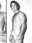 COCK SHOTS ANNUAL Nr 1 1981 Photos