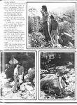 COCK SHOTS ANNUAL Nr 1 1981 Photos