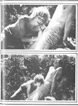 COCK SHOTS ANNUAL Nr 1 1981 Photos