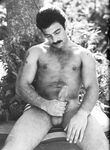 COCK SHOTS ANNUAL Nr 1 1981 Photos