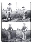 COCK SHOTS ANNUAL Nr 1 1981 Photos